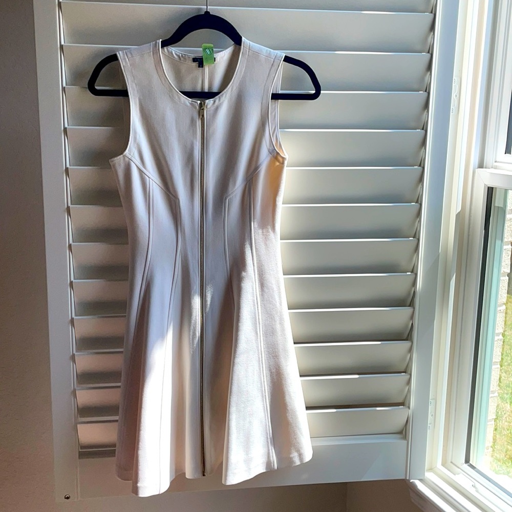 Gorgeous Theory fit and flare dress